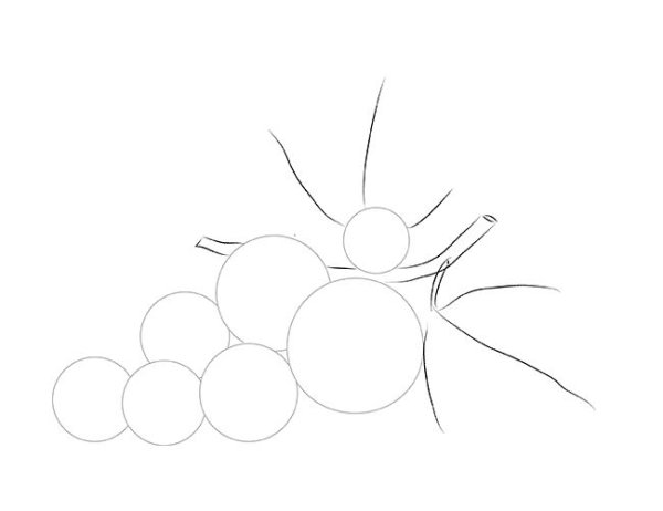 Поэтапное рисование смородины