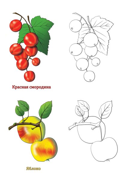 Ягоды для рисования детям