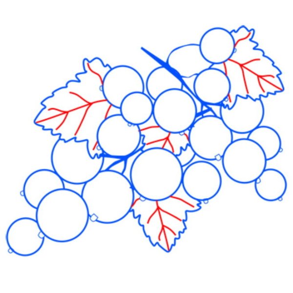 Ветка с ягодами рисование