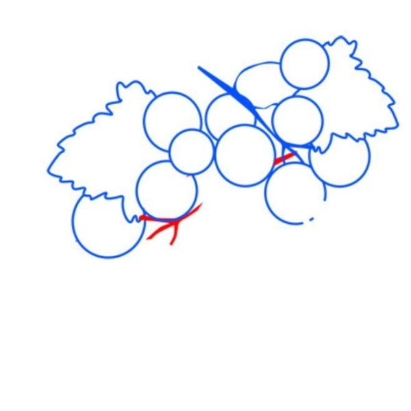 Рисование ягоды смородины пошагово