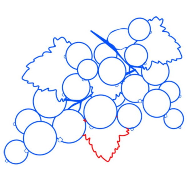 Нарисовать куст смородины карандашом
