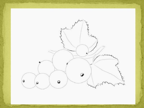 Смородина рисунок карандашом для детей