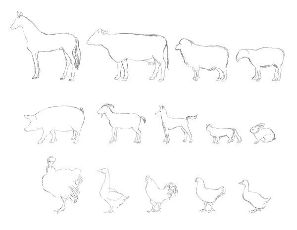 Рисуем животных фермы пошагово