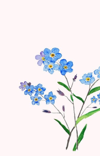 Рисование незабудки