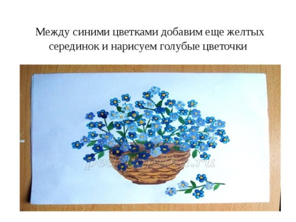 Рисование незабудки в средней группе