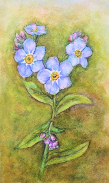 Незабудки акварелью