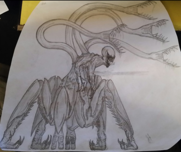 Картон Кэт СЦП