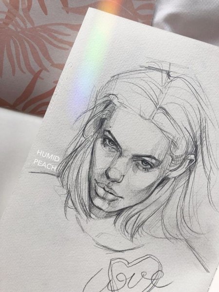 Диана гипсовая голова рисунок этапы