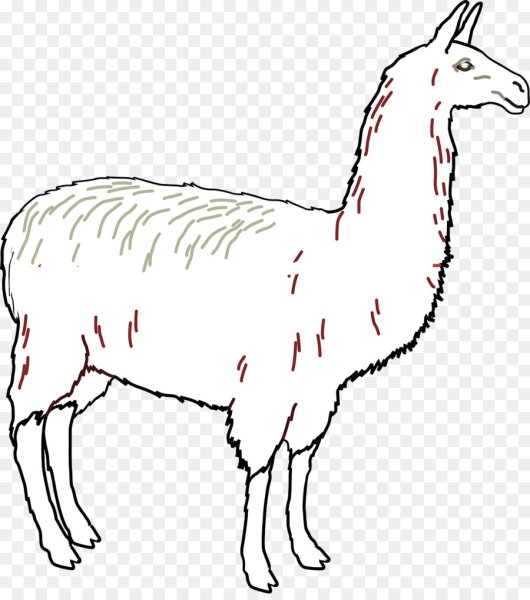 Лама рисунок