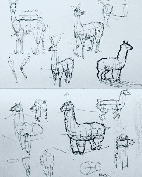 Референсы лам