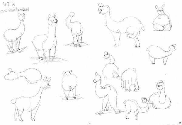 Пошаговое рисование животного альпак