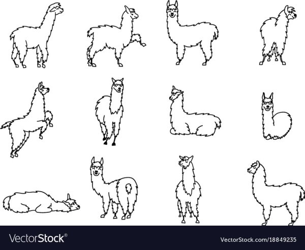 Альпака эскиз