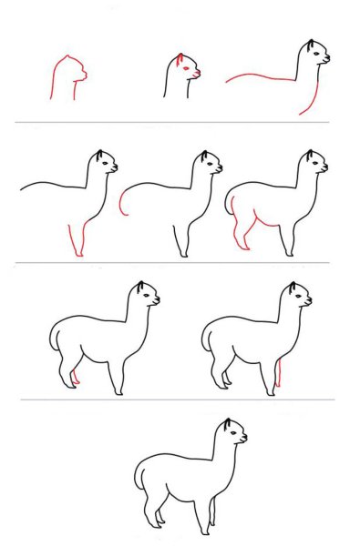Нарисовать ламу поэтапно