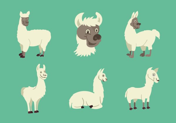 Лама референс