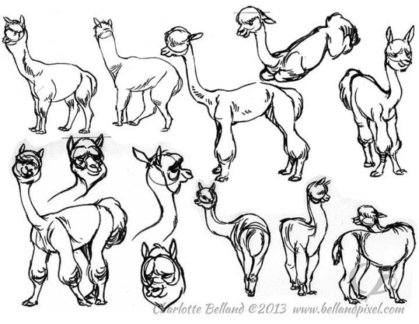 Лама референс