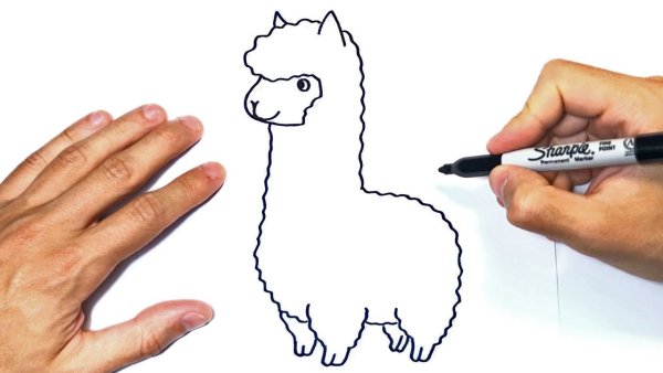 Альпака колпачок на карандаш