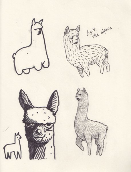 Эскиз альпаки