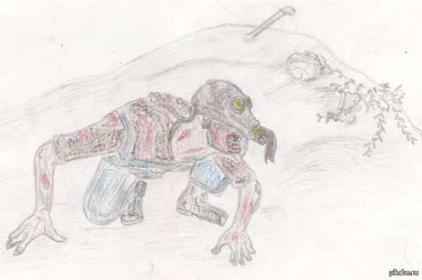 Раскраска сталкер мутанты Снорк