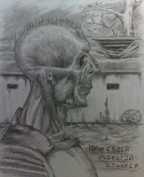 Поэтапное рисование медведя