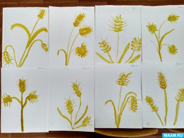 Рисование колосьев в старшей группе