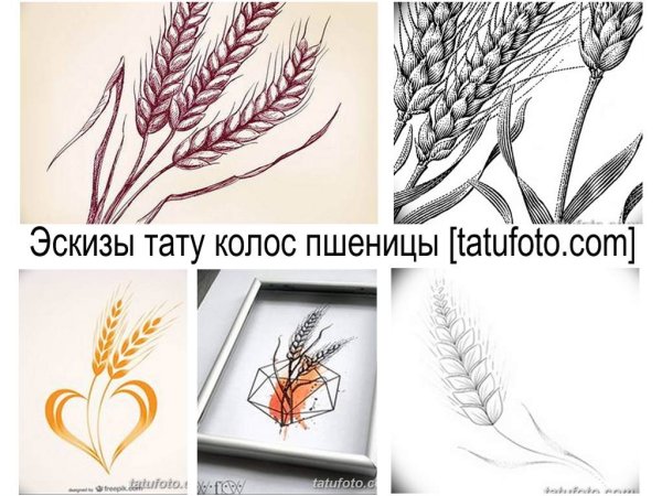 Колосок тату эскизы