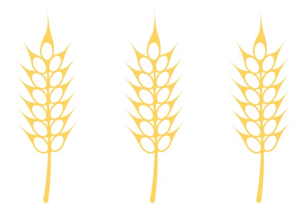 Колосок пшеницы