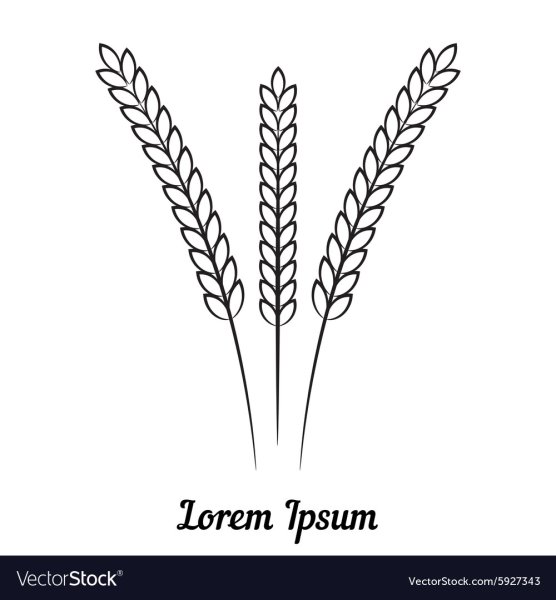 Колосок трафарет