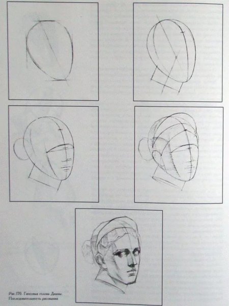 Поэтапное рисование гипсовой головы Дианы