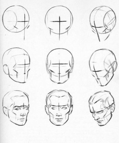Поэтапный рисунок головы
