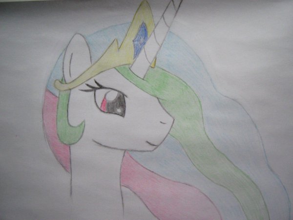 Силесьия пони карандашом