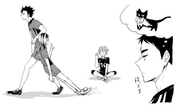 Хината шоё волейбол