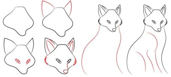Этапы рисования лисы