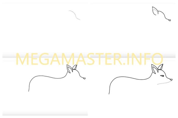 Лиса карандашом одной линией