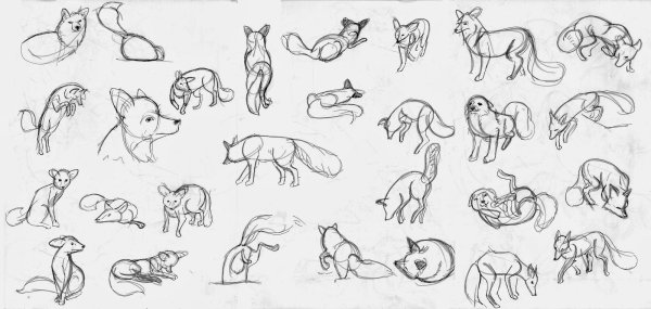 Наброски животных в движении