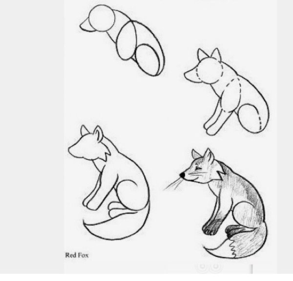Схема для рисования лисят
