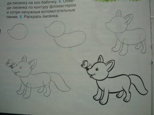 Рисование лисы пошагово в старшей группе