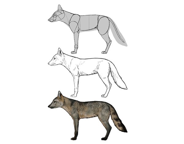 Лиса Майконг нарисовать