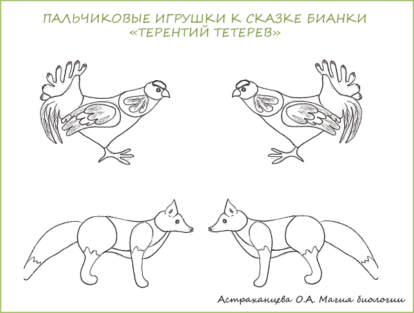 Бианки Терентий тетерев