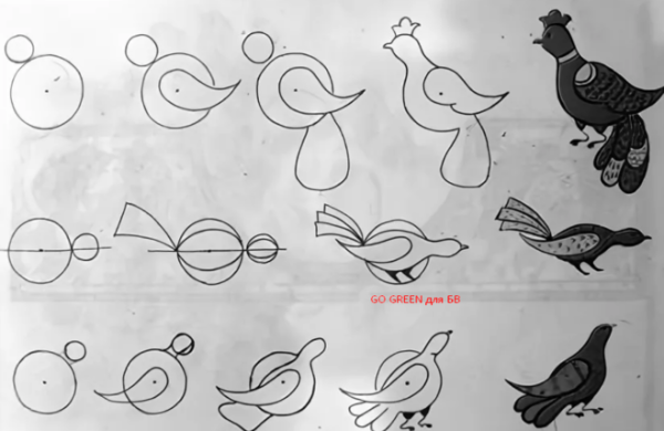 Рисование последовательно птиц