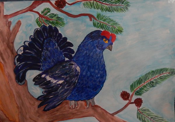 Поэтапное рисование тетерева