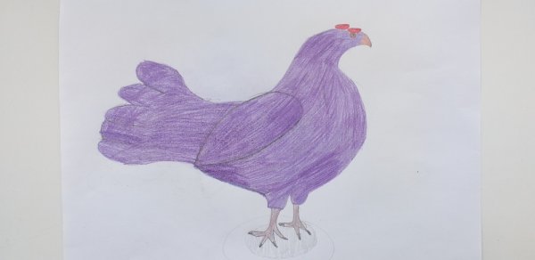 Поэтапное рисования тетерева для детей