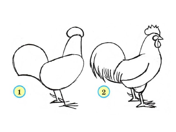 Рисование домашние птицы