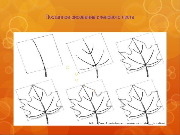 Лист клена поэтапное рисование