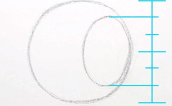 Нарисовать амонкас