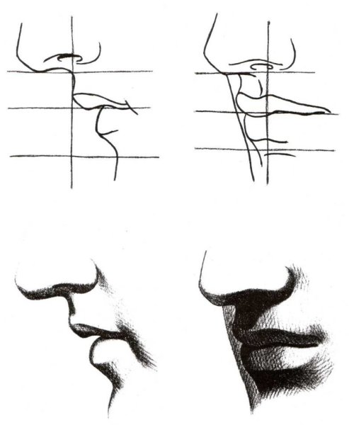 Губы в профиль карандашом