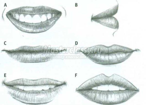 Построение тонких губ в рисунке