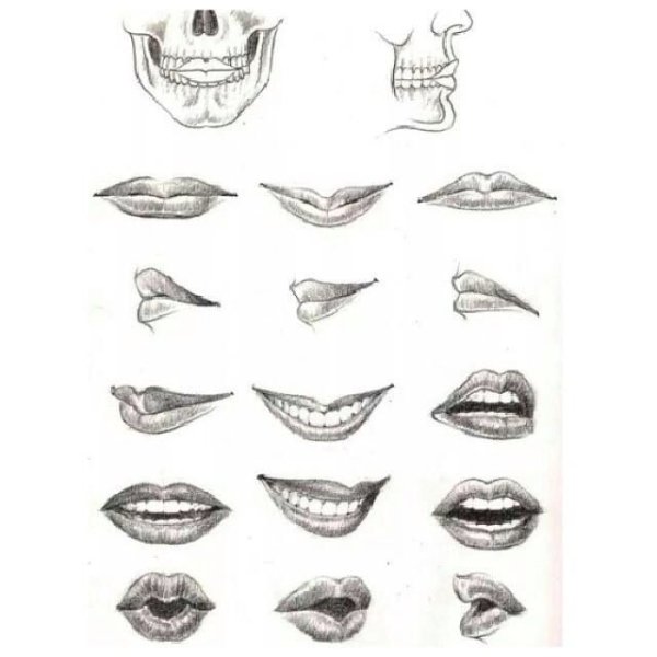 Разные формы рта