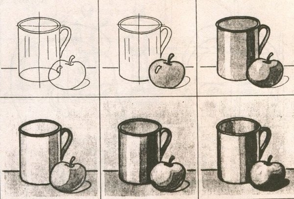 Этапы штрихования натюрморта