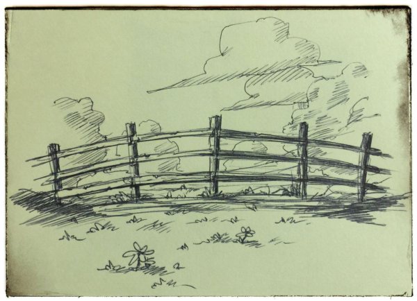 Забор карандаши