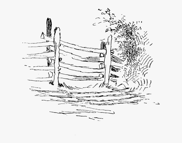 Зарисовки забора деревенского